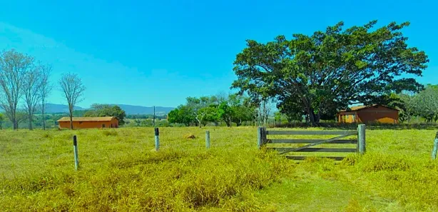 Fazenda/Sítio com 4 Quartos à venda, 145200m² no , Goiás