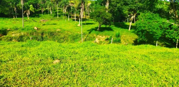 Fazenda/Sítio com 2 Quartos à venda, 210000m² no Padre Bernardo, Padre Bernardo