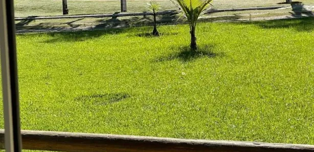 Fazenda/Sítio à venda, 660m² no , Goiás