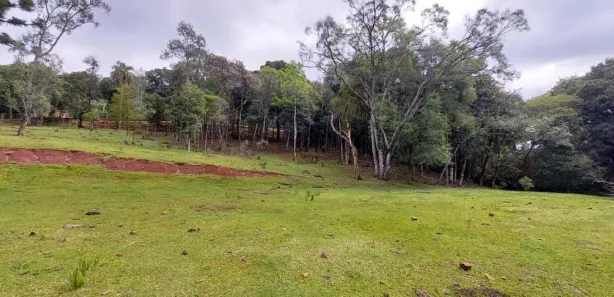 Lote/Terreno à venda, 22000m² no , Nova Petrópolis