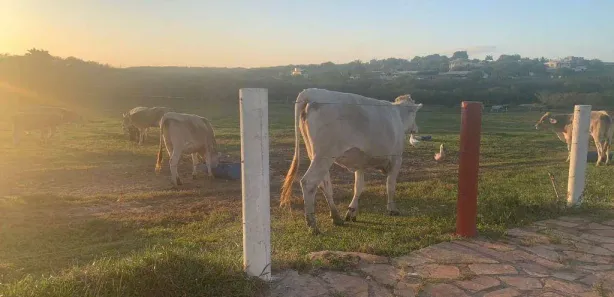 Imagem do imóvel