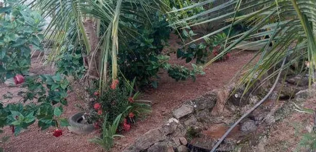 Fazenda/Sítio com 2 Quartos à venda, 90m² no , Gameleira de Goiás