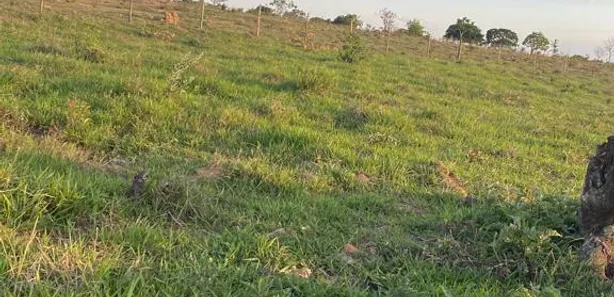 Lote/Terreno à venda, 20000m² no , Cordisburgo