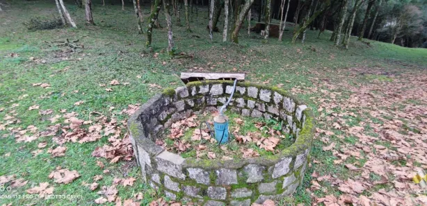 Fazenda/Sítio com 2 Quartos à venda, 90m² no Área Rural de Farroupilha, Farroupilha
