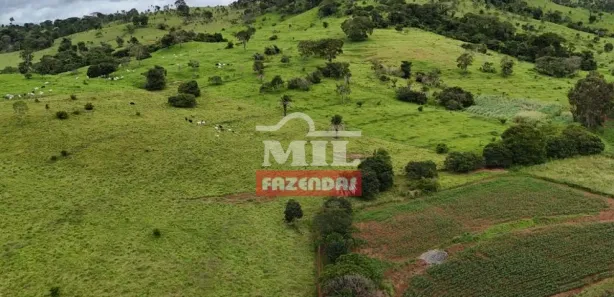Fazenda/Sítio à venda, 20000m² no Vila Mutirão, Inhumas