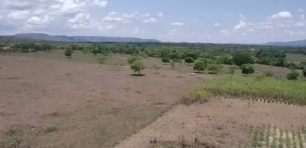 Fazenda/Sítio à venda no , Buritis
