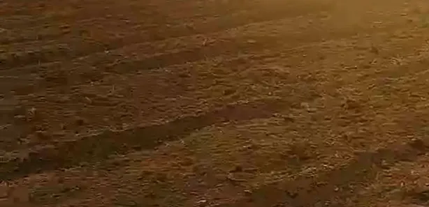 Fazenda/Sítio à venda no , Buritis