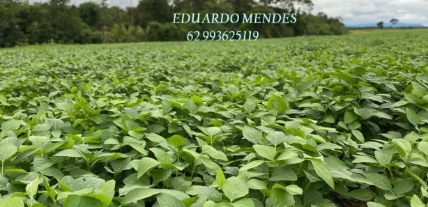 Fazenda/Sítio com 3 Quartos à venda, 2178000m² no , Niquelândia