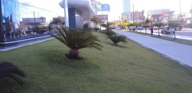 Sala Comercial para alugar, 40m² no Pina, Recife