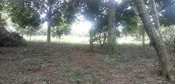 Lote/Terreno à venda, 1000m² no Caju, Nova Santa Rita