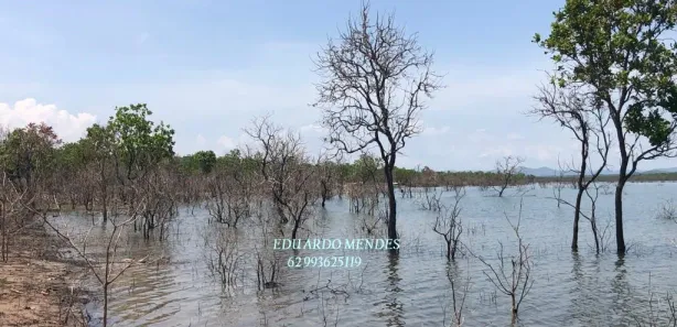 Fazenda/Sítio com 3 Quartos à venda, 232320m² no , Niquelândia