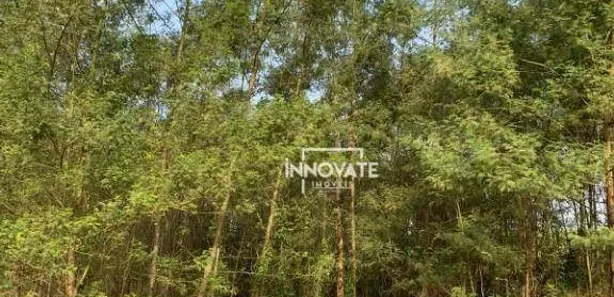 Lote/Terreno à venda, 31235m² no Centro, Presidente Lucena