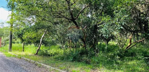 Lote/Terreno à venda, 1075m² no Centro, Nova Santa Rita