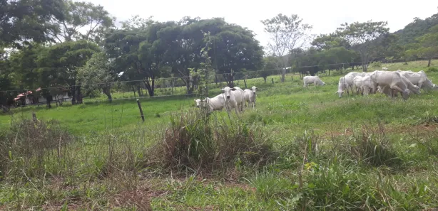 Lote/Terreno à venda, 20000m² no , Araçaí