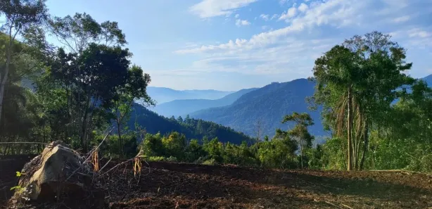 Lote/Terreno à venda, 23196m² no , Nova Petrópolis