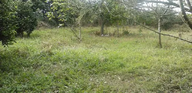 Lote/Terreno à venda, 1000m² no Caju, Nova Santa Rita