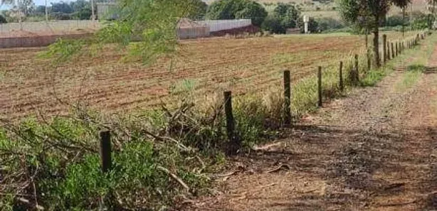 Lote/Terreno para venda ou aluguel, 10000m² no Br-376, Marialva