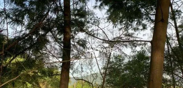 Lote/Terreno à venda, 31235m² no Centro, Presidente Lucena
