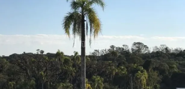 Lote/Terreno à venda, 327m² no João Alves, Santa Cruz do Sul