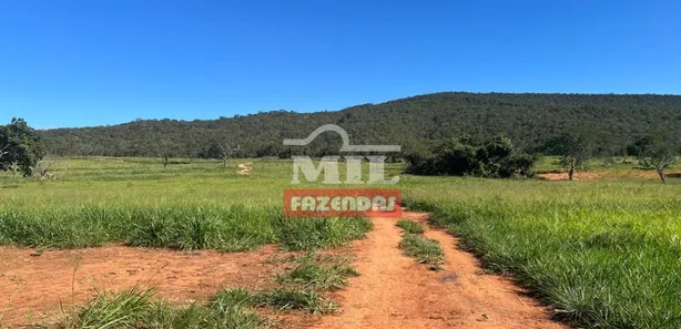 Fazenda/Sítio à venda, 500m² no , Jaraguá