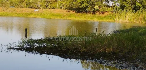 Fazenda/Sítio com 5 Quartos à venda, 96000m² no Área Rural de Iacanga, Iacanga
