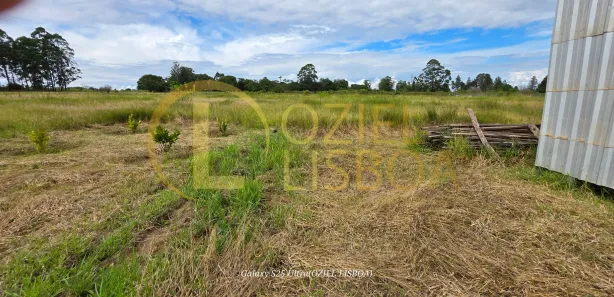 Fazenda/Sítio com 1 Quarto à venda, 20000m² no Brazlândia, Brasília