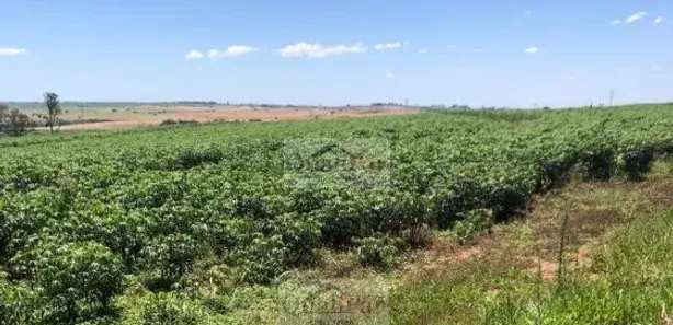 Fazenda/Sítio à venda, 6320000m² no Centro, Echaporã