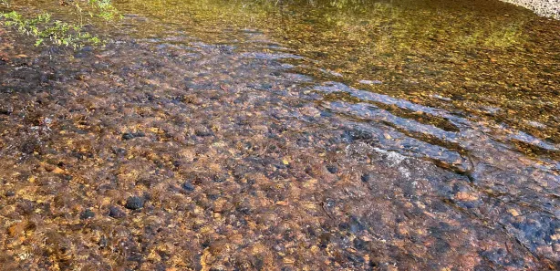 Lote/Terreno à venda, 20000m² no Serra do Cipó, Santana do Riacho