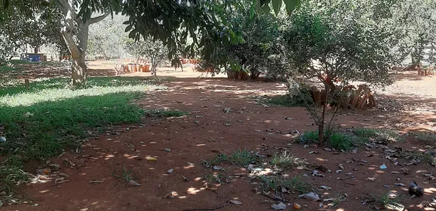 Fazenda/Sítio com 3 Quartos à venda, 20000m² no Área Rural de Brazlândia, Brasília