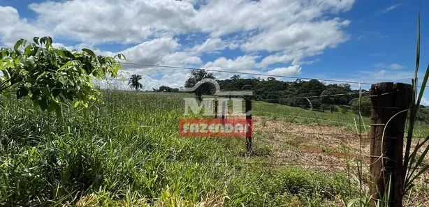 Fazenda/Sítio à venda, 173200m² no , Terezópolis de Goiás