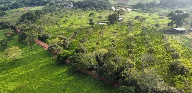 Fazenda/Sítio com 5 Quartos à venda, 24m² no Área Rural de Inhumas, Inhumas