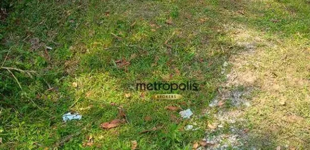 Lote/Terreno à venda, 350m² no Colônia, Ribeirão Pires