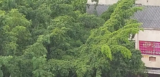 Sala Comercial para alugar, 15m² no Centro, Nova Iguaçu