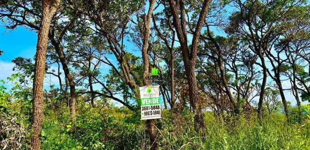 Lote/Terreno à venda, 572m² no Pomar da Lagoa, Lagoa Santa