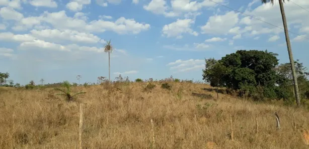 Lote/Terreno à venda, 28500m² no Centro, São José da Lapa