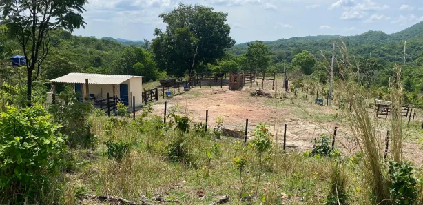 Fazenda/Sítio à venda, 338800m² no , Goiás