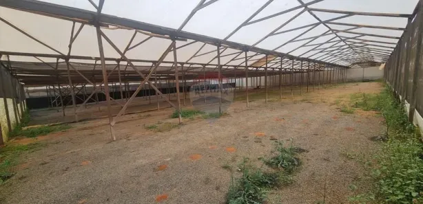 para alugar, 2000m² no , Artur Nogueira