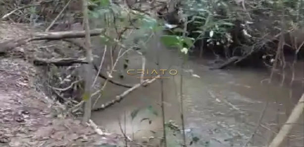 Fazenda/Sítio com 2 Quartos à venda, 5000m² no , Gameleira de Goiás