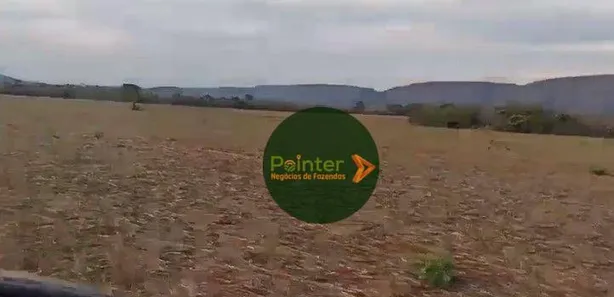 Fazenda/Sítio à venda, 8700000m² no , Buritis