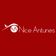 NICE ANTUNES GESTAO DE IMOVEIS EIRELI - ME