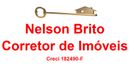 Nelson Tadeu Brito Pedro