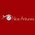 NICE ANTUNES GESTAO DE IMOVEIS EIRELI - ME