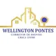 Wellington Pontes corretor