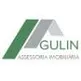 GULIN ASSESSORIA IMOBILIARIA