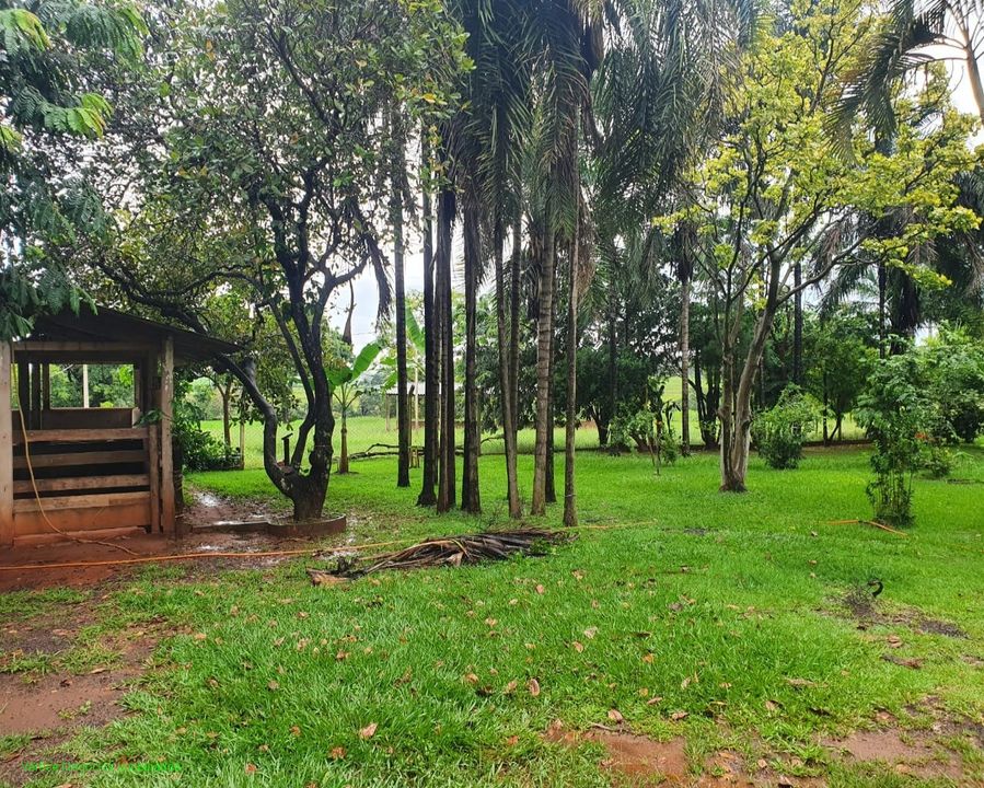 Fazenda/Sítio na Rua Alberto Vetorazzo, Centro Talhado em São José do ...
