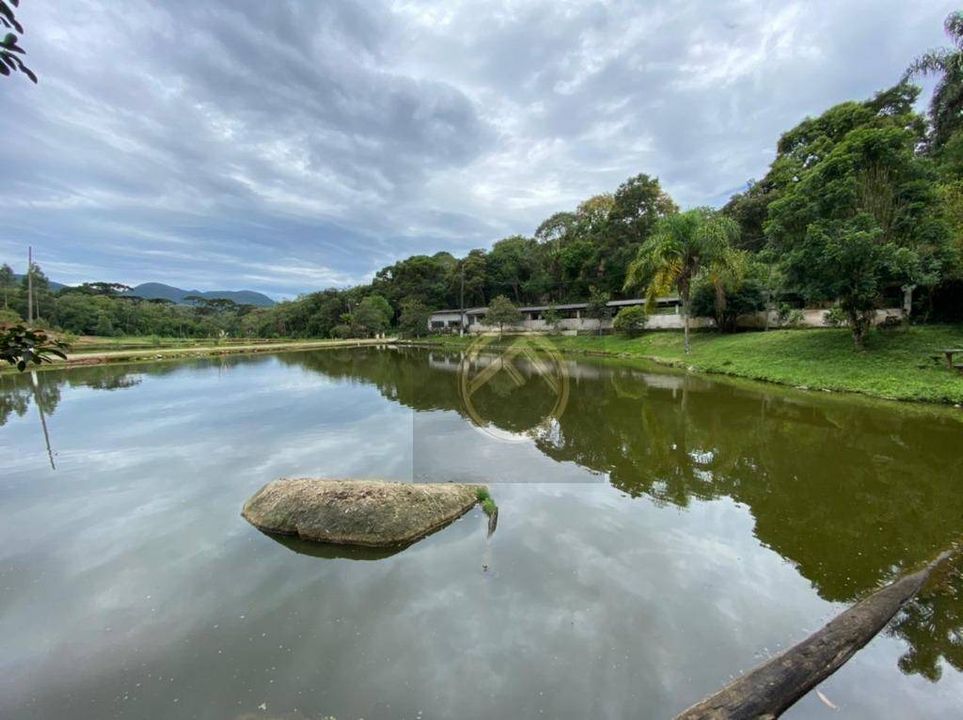 Chácara 72600 m² em Borda do Campo em Quatro Barras, por R 1.100.000 Viva Real Chácara 72600 m² em Borda do Campo em Quatro Barras, por R 1.100.000 Viva Real