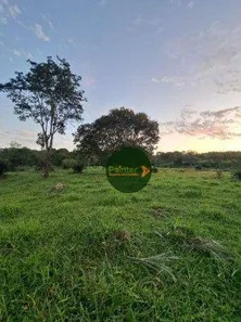 Fazenda/Sítio à venda, 1306800m² no , 