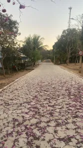 Lote/Terreno à venda, 500m² no Palmital, Lagoa Santa