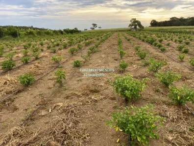 Fazenda/Sítio com 3 Quartos à venda, 13000m² no Área Rural de Anápolis, Anápolis