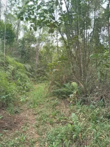 Fazenda/Sítio à venda, 677600m² no , Guaraqueçaba
